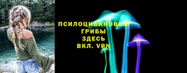 твердый Шали