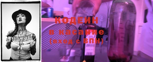 твердый Шали