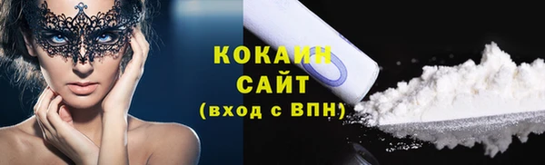 твердый Шали