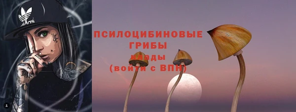 твердый Шали