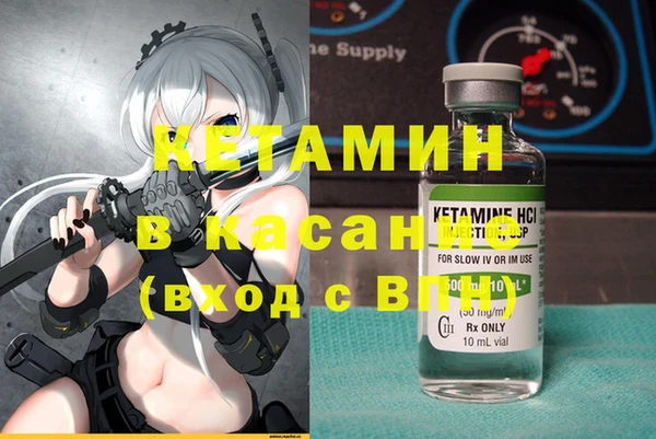 твердый Шали