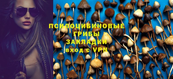 твердый Шали