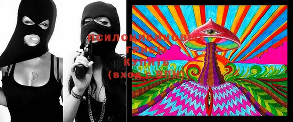 винт Шадринск