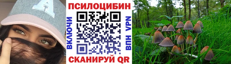 Псилоцибиновые грибы Magic Shrooms  Ангарск 