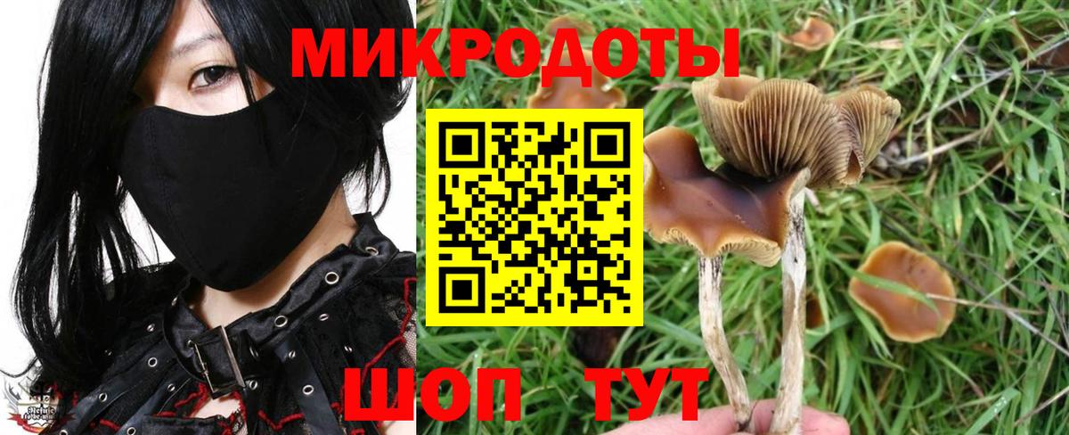 Галлюциногенные грибы мицелий  Галлюциногенные грибы Psilocybine cubensis  Ангарск 