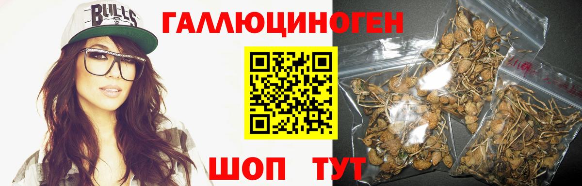Псилоцибиновые грибы Cubensis Ангарск
