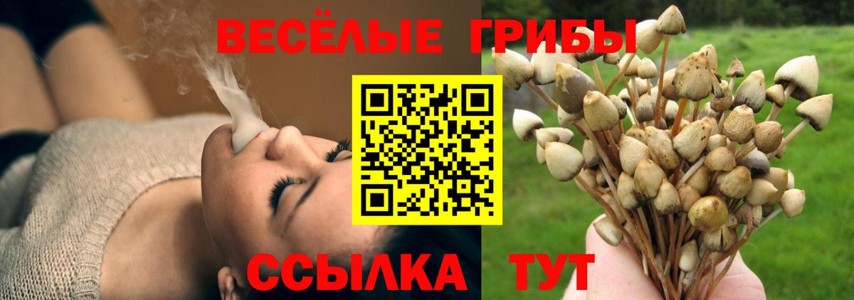 Галлюциногенные грибы GOLDEN TEACHER Ангарск